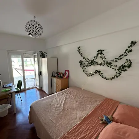 A Casa Do Gato