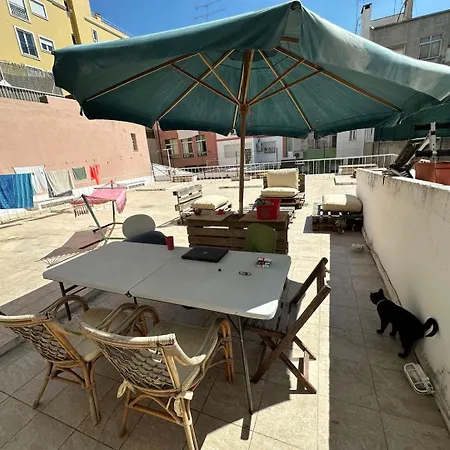 A Casa Do Gato Lisboa